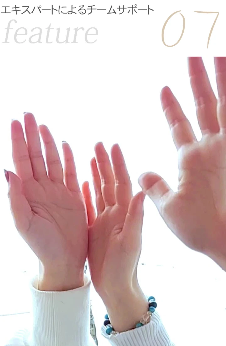 エキスパートによるチームサポート